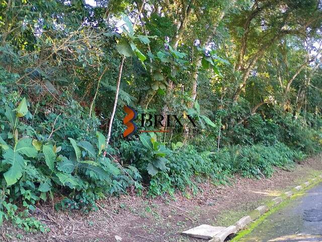 #TE-1594 - Terreno em Condomínio para Venda em Arujá - SP - 2